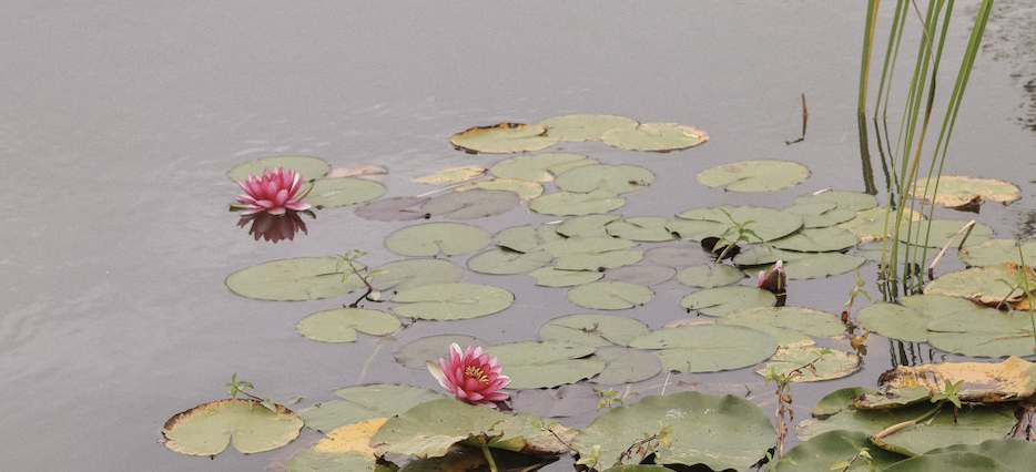 The Freedom of Letting Go